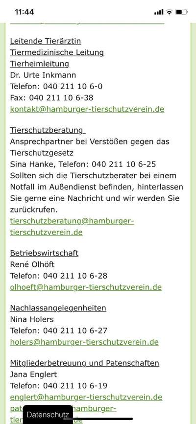 Verdacht auf illegalen Welpenhandel - wo melden?-Beitrag-Bild