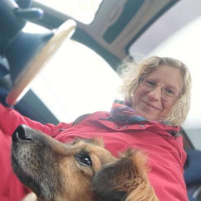 Hundetreffen-Nachmittagsspaziergang-Bild