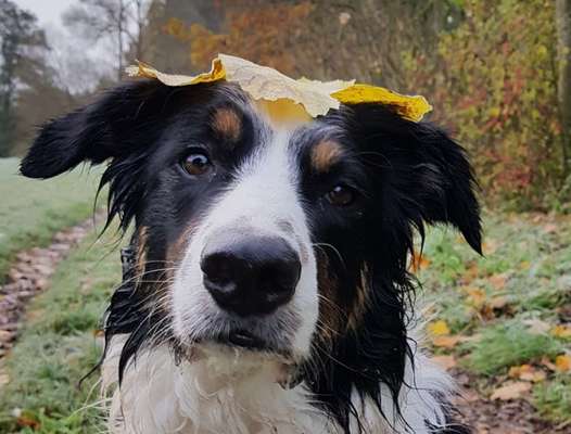 Fotochallange Nr. 57     PORTRÄT.   Beendet!!!!!!!!-Beitrag-Bild