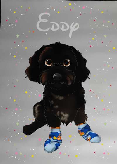 Havaneser dabei?:)-Beitrag-Bild