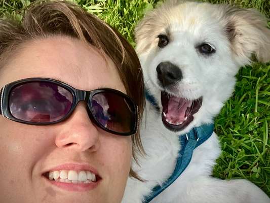 Hundetreffen-Welpen- und Junghundtreffen-Bild