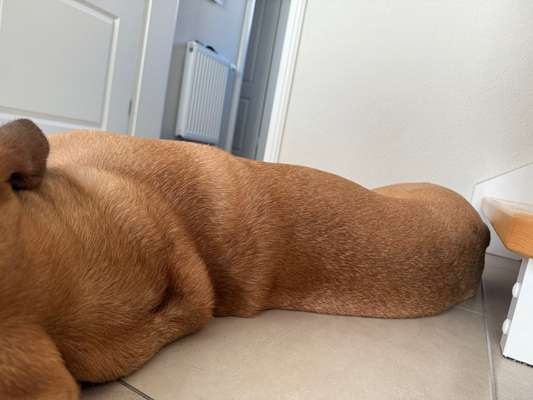 Gangbild/-analyse-Beitrag-Bild