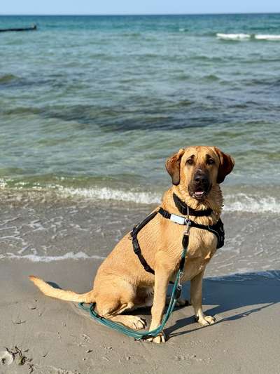 Ach, wie schnell die Zeit vergeht-Beitrag-Bild