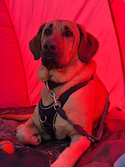 Ach, wie schnell die Zeit vergeht-Beitrag-Bild