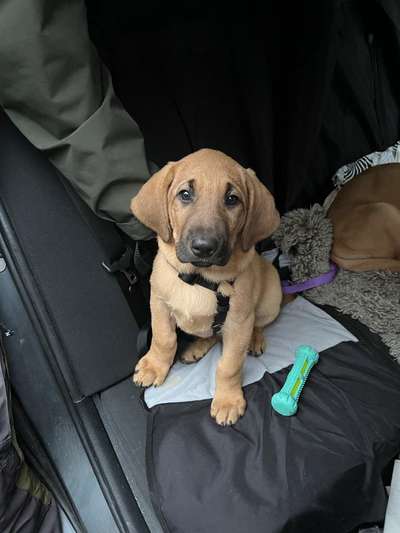 Ach, wie schnell die Zeit vergeht-Beitrag-Bild