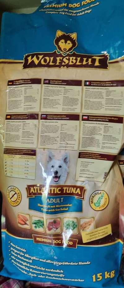 Gutes Trockenfutter mit hohem Fleischanteil-Beitrag-Bild