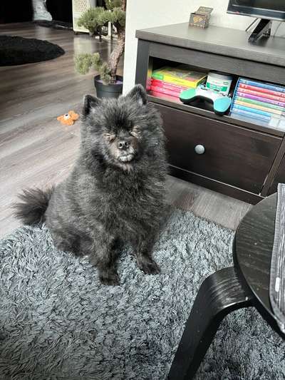 Schmerzen oder nur empfindlich?-Beitrag-Bild