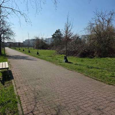 Giftköder-Vermutlich Cannabiswasser verschüttet...-Bild