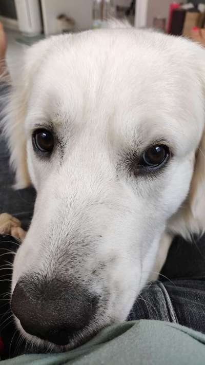 147. Foto Challenge: Bettelblick-Beitrag-Bild