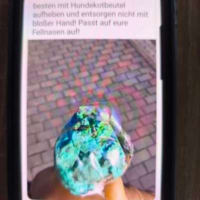 Giftköder-Giftköder gestern-Bild