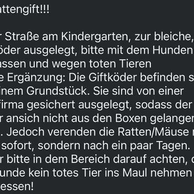 Giftköder-Vorsicht vor vergifteten Tieren-Bild