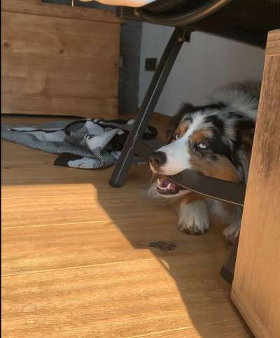 28. Handy-Fotochallenge - Damals und heute-Beitrag-Bild