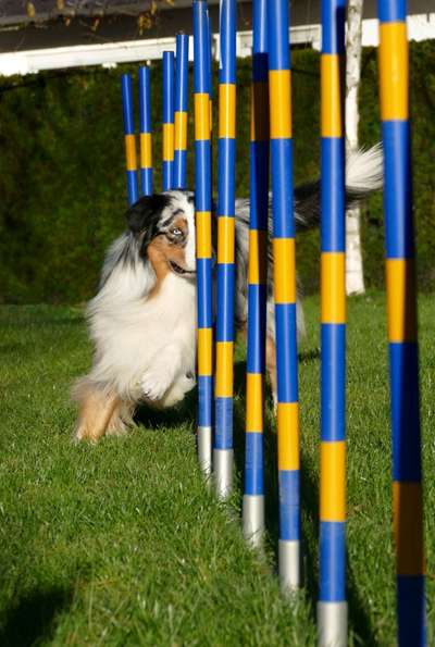 Fotowettbewerb zum Thema "Sonne"-Beitrag-Bild