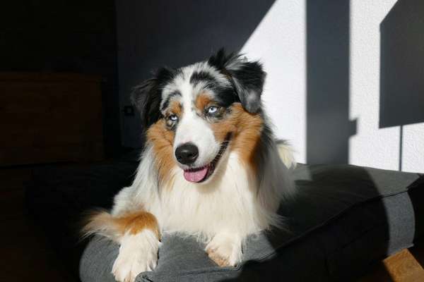 Lieblingsbild-Beitrag-Bild