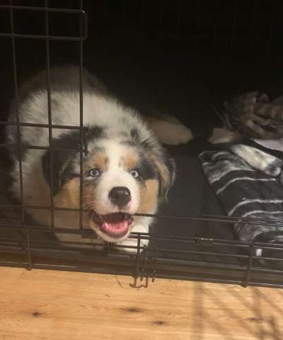 28. Handy-Fotochallenge - Damals und heute-Beitrag-Bild