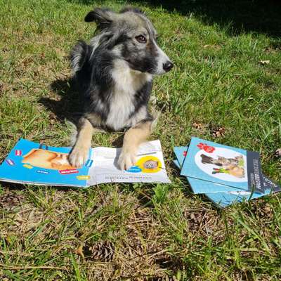 Foto-Challange No.1 - Alles aber nicht die Kamera-Beitrag-Bild