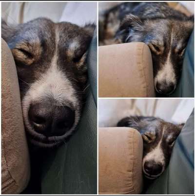 FOTO-Challenge  NR. 91: Die pure Entspannung-Beitrag-Bild