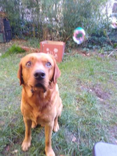 Un...scharf Bilder-Beitrag-Bild