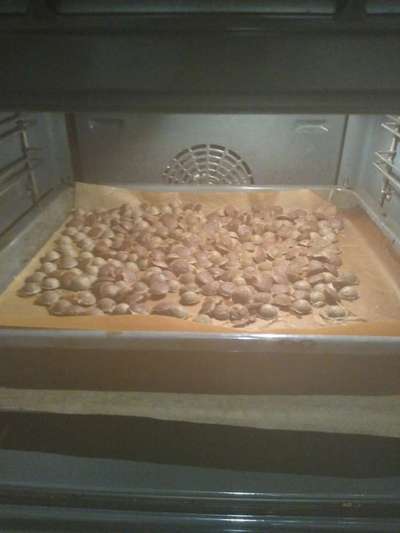 Heute gibt es.....der "ich mach die Leckerlis-Selber-Thread"-Beitrag-Bild