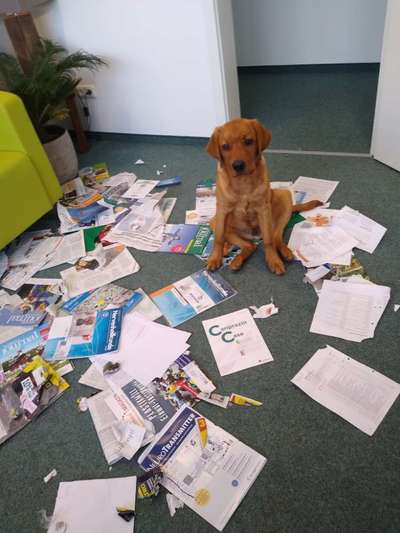 Fotochallenge No. 5-Beitrag-Bild