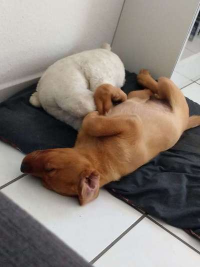 Die unbequemsten und lustigsten Schlafpositionen-Beitrag-Bild