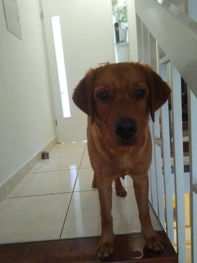 im Gegensatz zu damals.-Beitrag-Bild