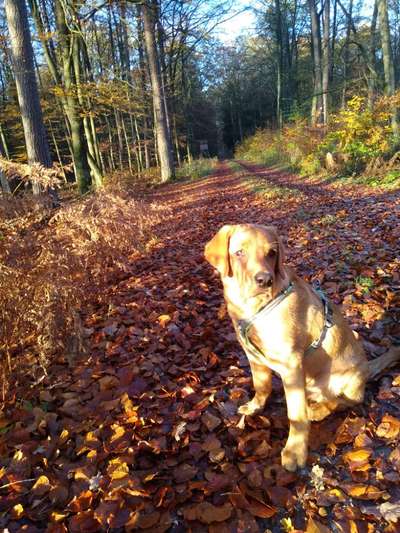 Foto Challenge 2 BEENDET 
Bitte aktuelle Challenge nutzen-Beitrag-Bild