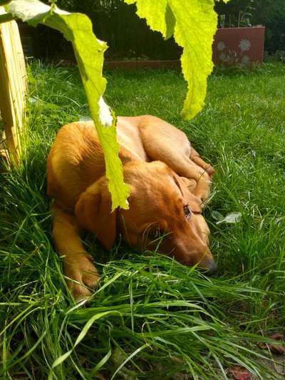 Foto Challenge 3-Beitrag-Bild