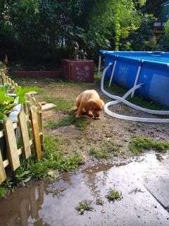 Foto Challenge - BEENDET - bitte aktuelle Challenge nutzen-Beitrag-Bild