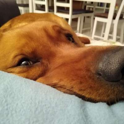 Mythen und warum sie sich so hartnäckig halten-Beitrag-Bild