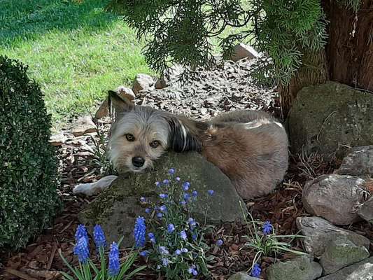 Lieblingsbild-Beitrag-Bild