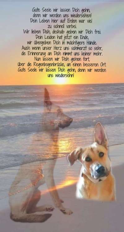 Lieblingsbild-Beitrag-Bild