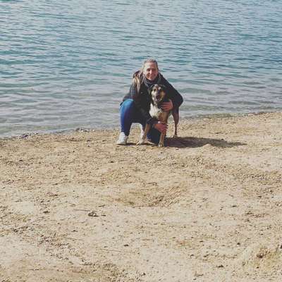 Wo habt ihr eure Hunde her ?-Beitrag-Bild