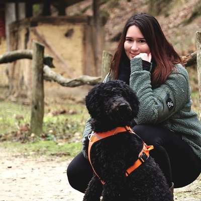 Hundeschulen-Martin Rütter Hundeschule Riesa/Meißen-Bild