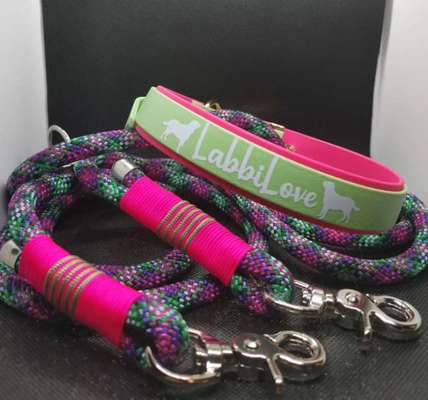 Labbi-festes Halsband-Beitrag-Bild