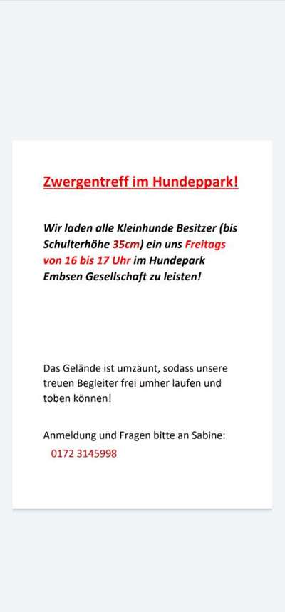 Hundetreffen-Zwergentreff-Bild