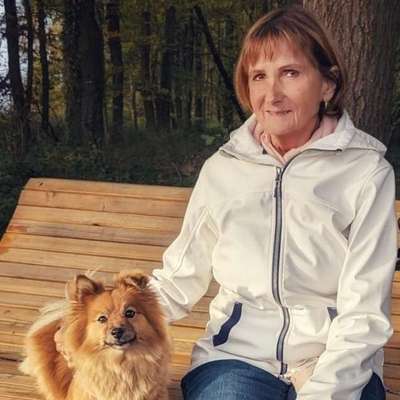 Hundetreffen-Fröhliches einfaches Gassi gehen-Profilbild