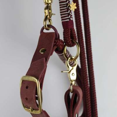 %{de_profession_title}-Set aus Nubuckleder/Paracord-Bild