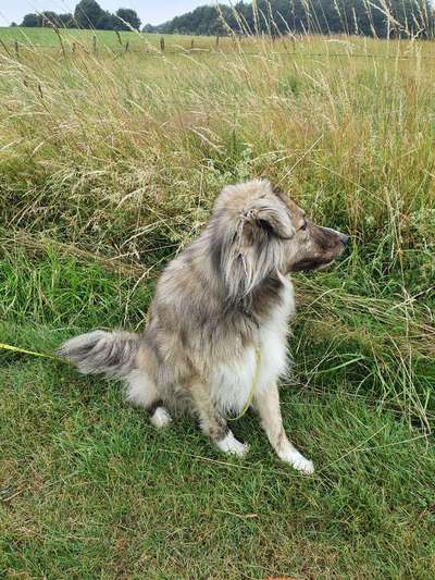 Foto-Challange No.1 - Alles aber nicht die Kamera-Beitrag-Bild