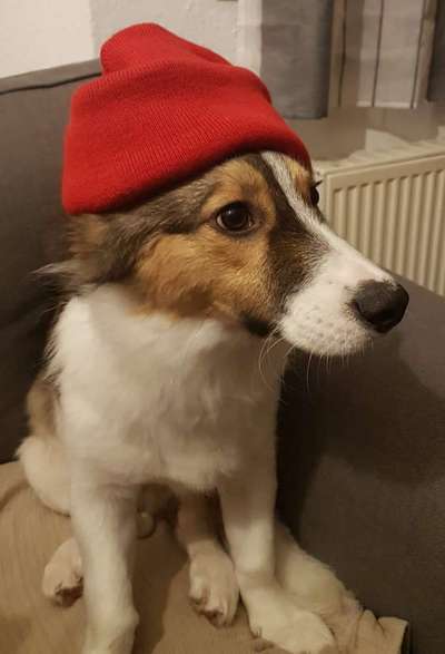 11. Farben Foto Challenge Rot-Beitrag-Bild