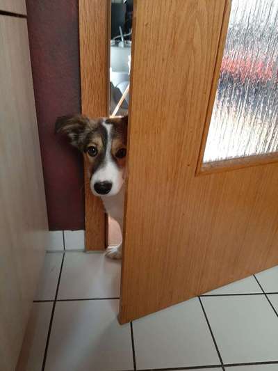 12. Farben Foto Challenge --- Braun-Beitrag-Bild