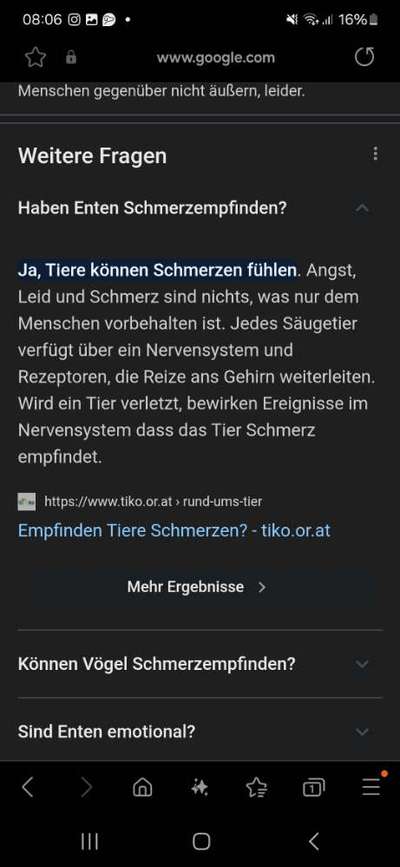 Jagdhundeausbildung an lebenden Enten – notwendig oder unethisch? 🐾-Beitrag-Bild