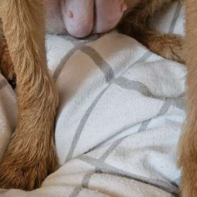 Paula will momentan kaum was fressen-Beitrag-Bild