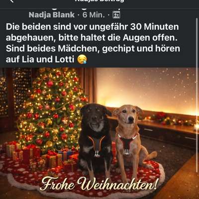 Suchmeldung-Lia und Lotti-Bild