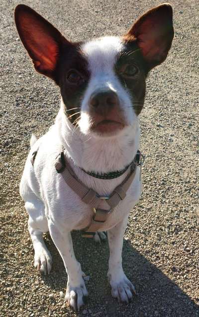 Fotochallange Nr. 57     PORTRÄT.   Beendet!!!!!!!!-Beitrag-Bild