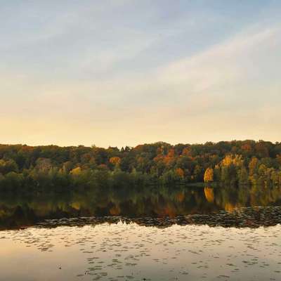 Hundeauslaufgebiet-Volksbad, Parkeisenbahn, Schellergrund und Neißeradweg-Bild