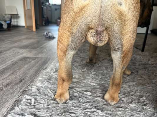 Bein angeschwollen-Beitrag-Bild