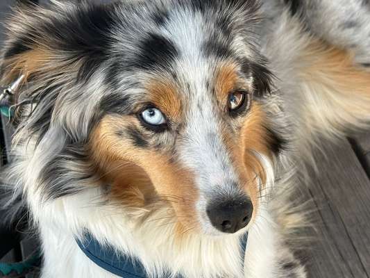 150. Foto Challaenge:  Die Augen, der Spiegel der Seele-Beitrag-Bild