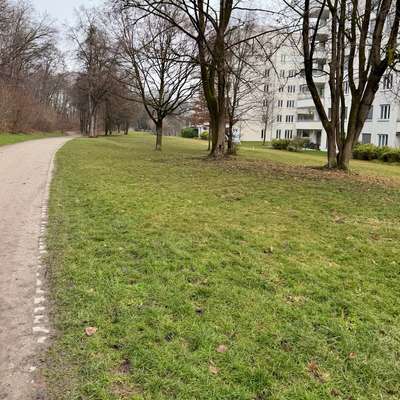 Hundeauslaufgebiet-Wiese neben Westpark-Bild