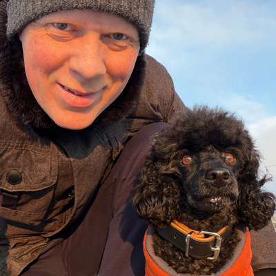 Andy's Profilbild